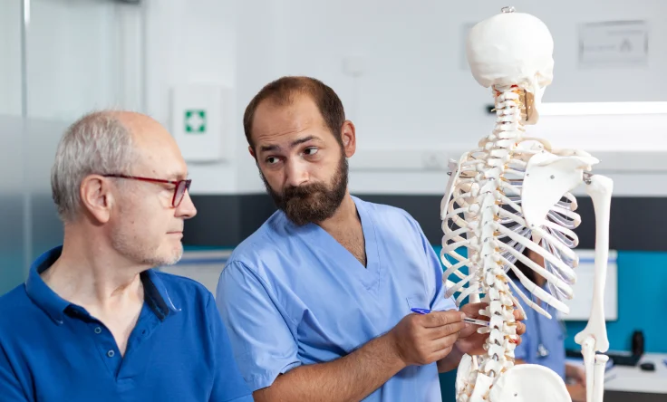 Orthopaedic