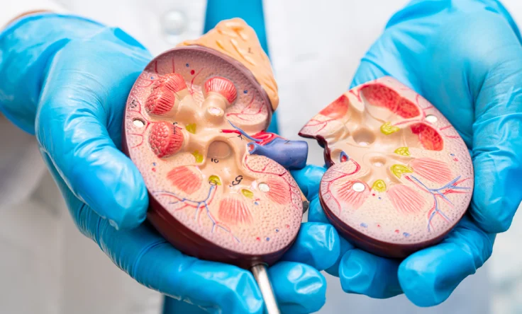 Urology